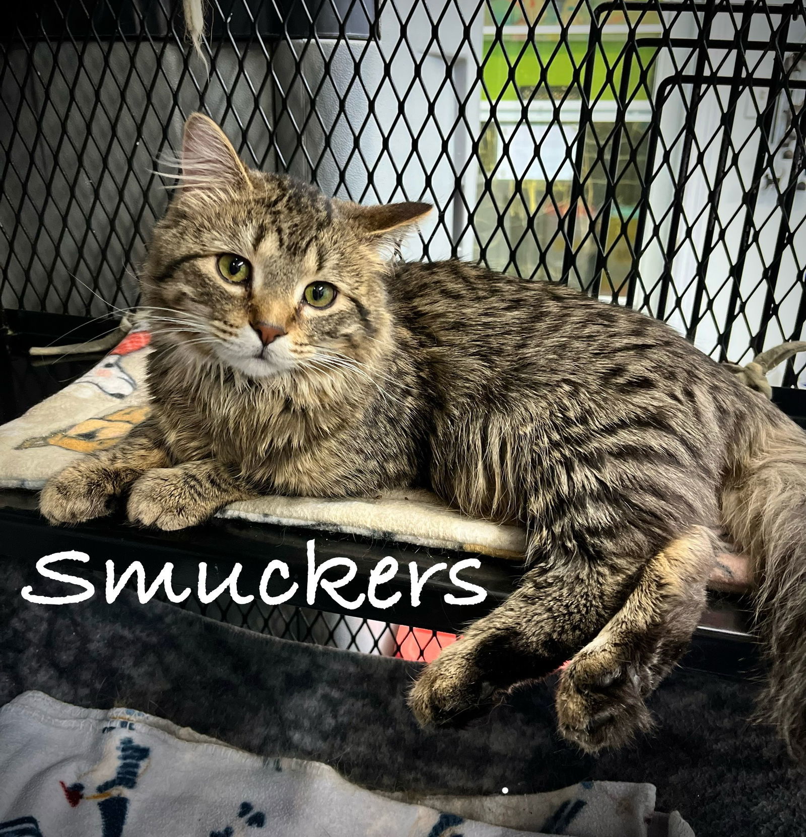 Smuckers