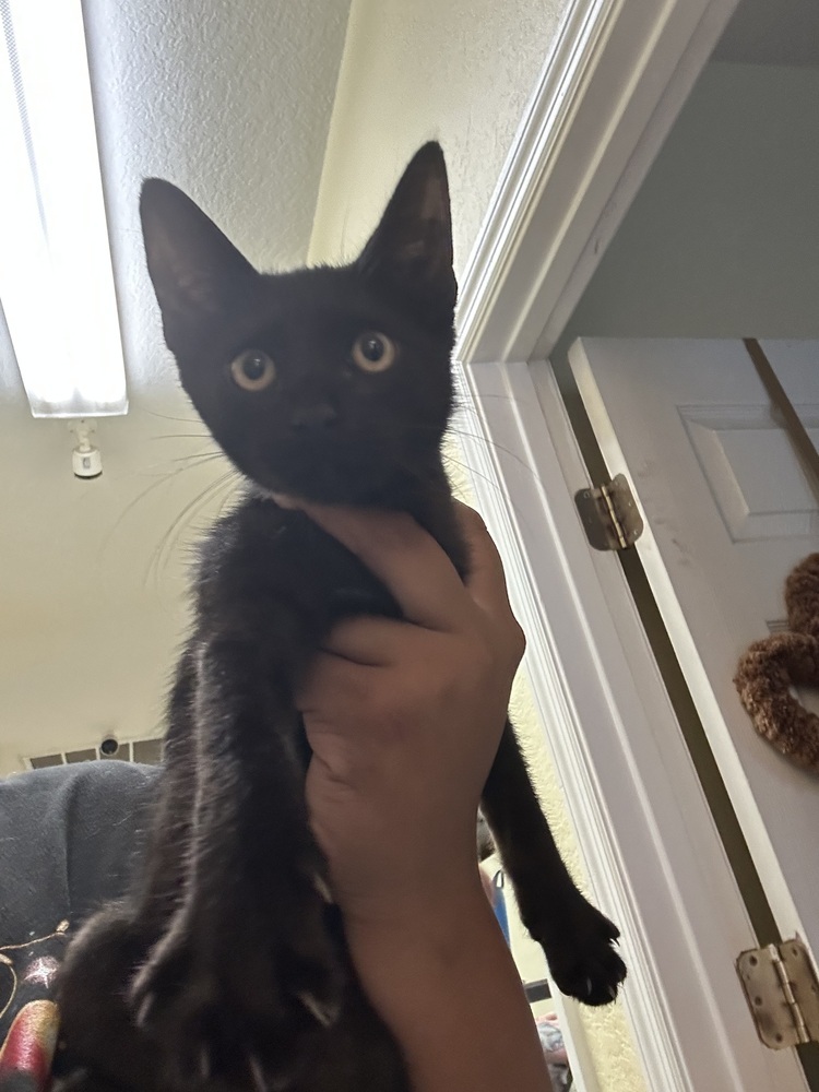 Sam