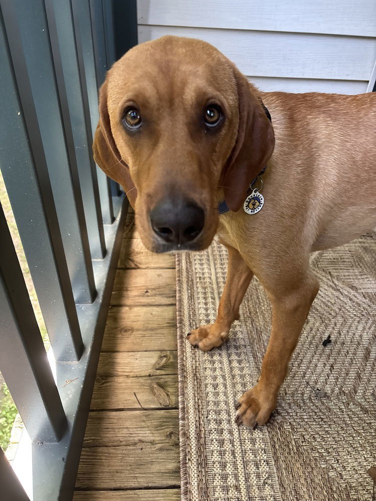 Donnie