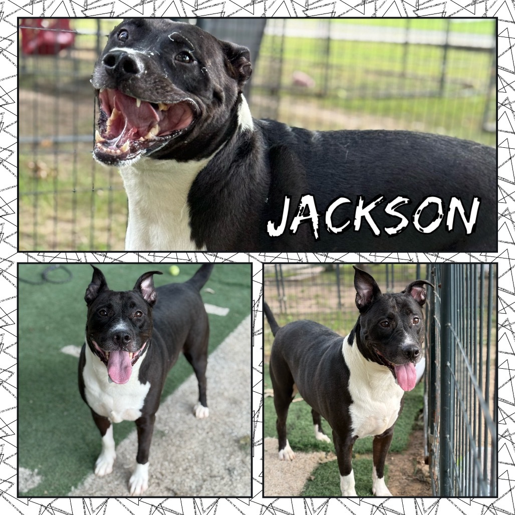 Jackson