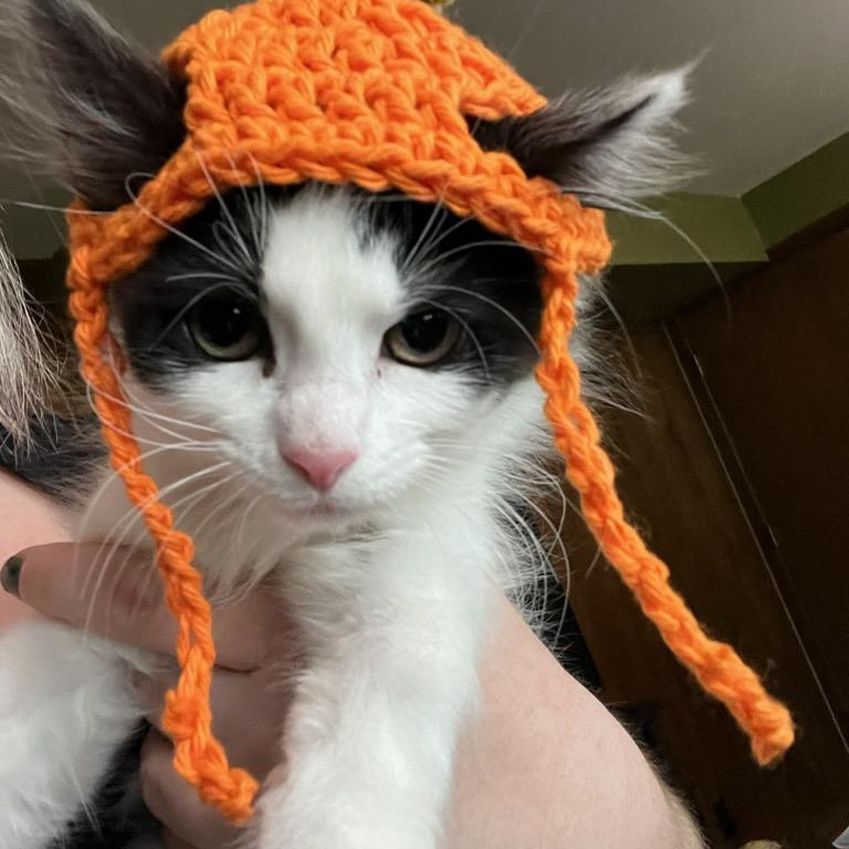 Carrot
