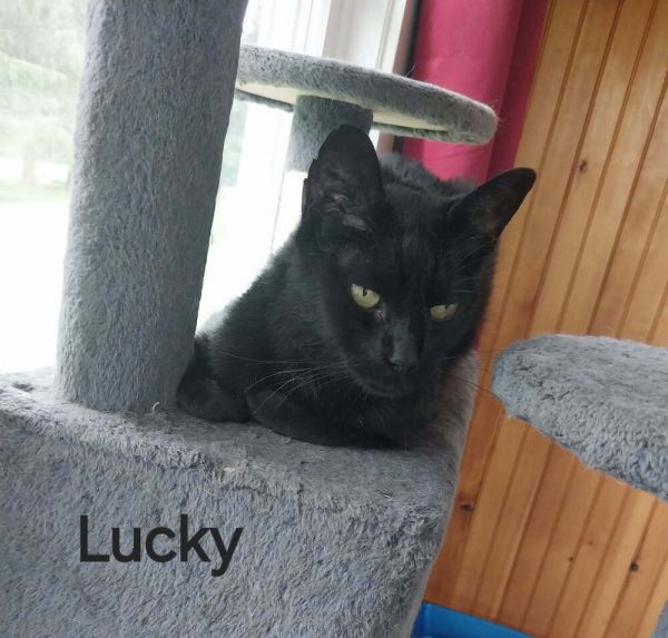 Lucky