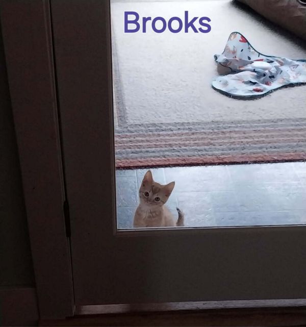 Brooks thumbnail 3