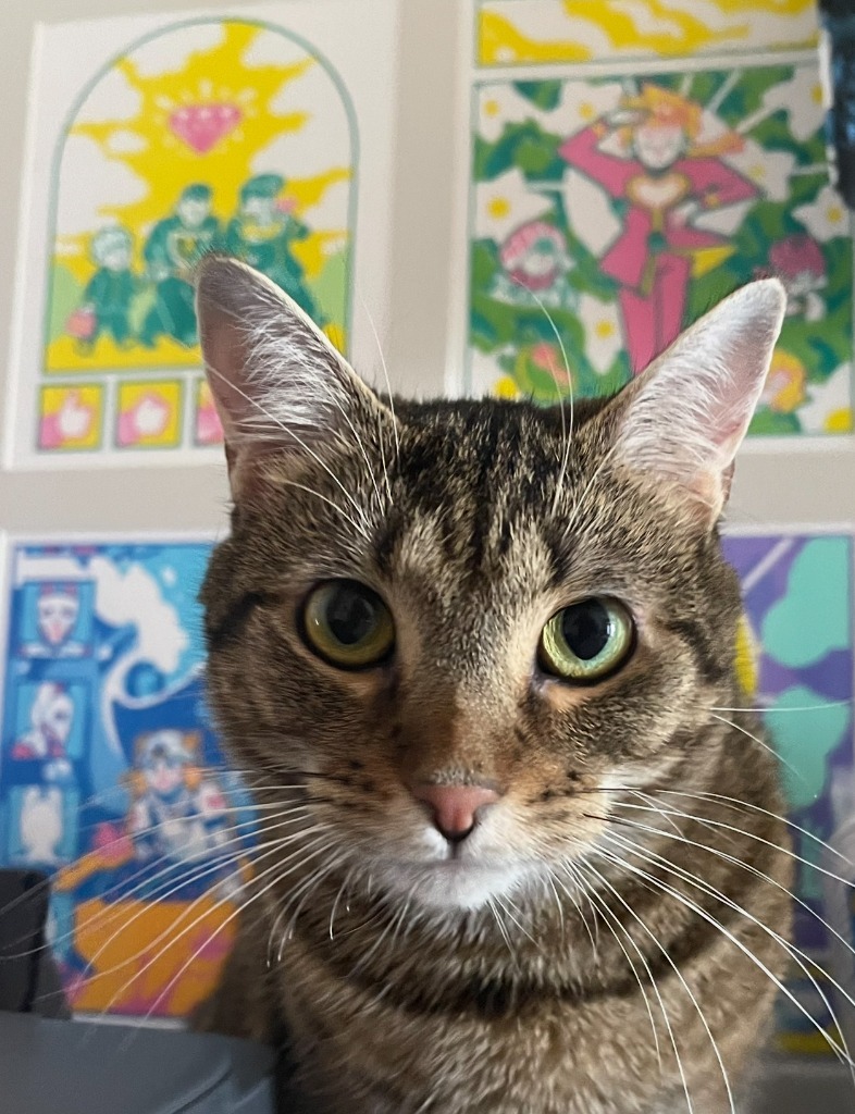 Maxine