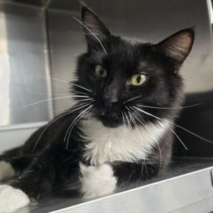 Erika is a super sweet girl who will talk your ear off Its impossible not to love her