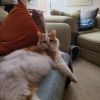 Peaches photo 1