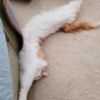 Peaches photo 4