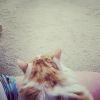 Peaches photo 6