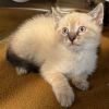 Casper photo 2