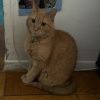 Garfield photo 3