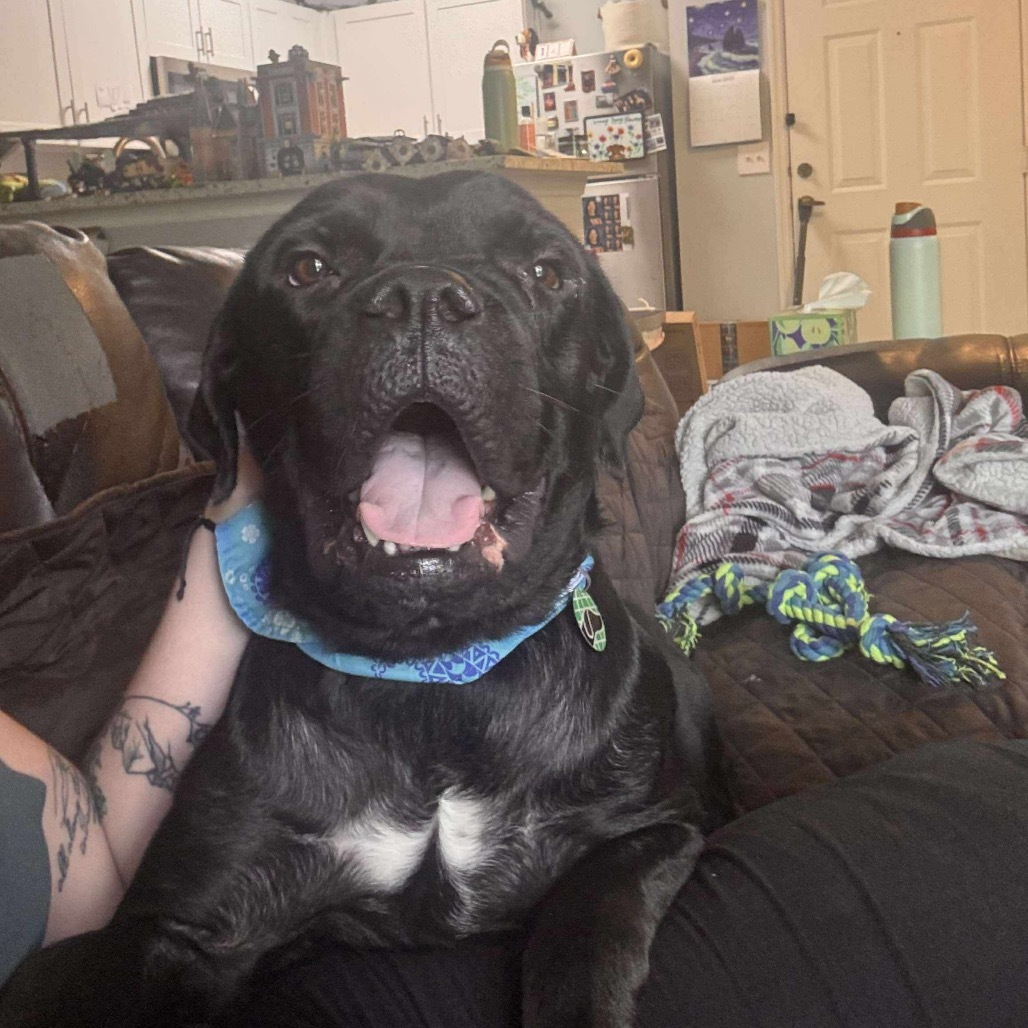Goober