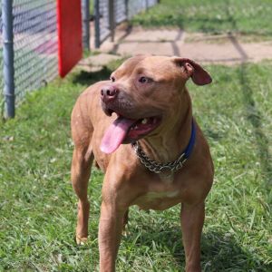 Lexi, Young Female unknown