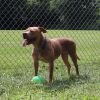 Lexi photo 5