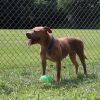Lexi photo 6