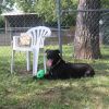 Athena photo 6