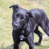 Barney photo 1