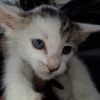 Marco photo 2
