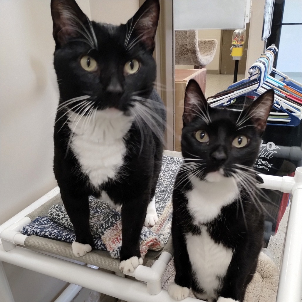 Tux