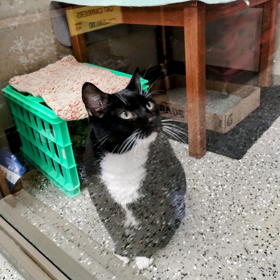 Tux
