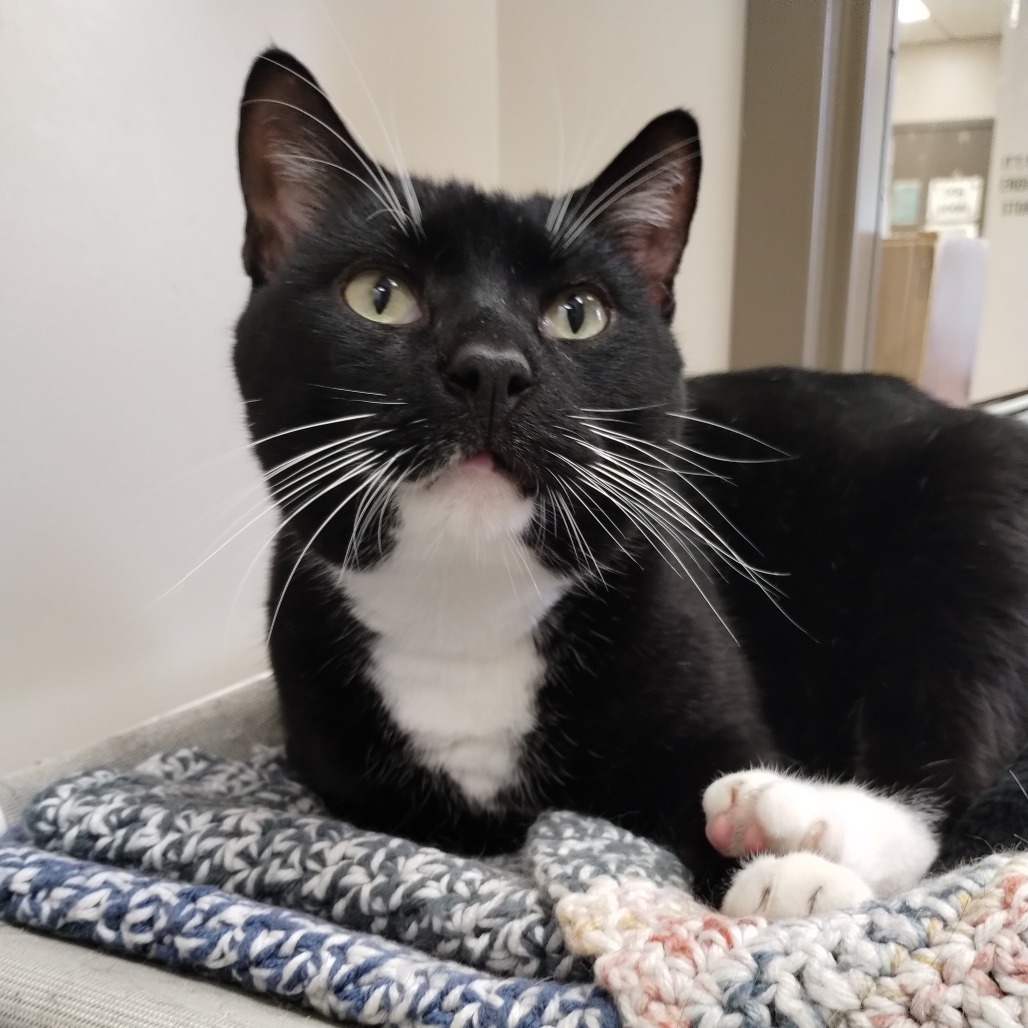 Tux