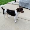 Bonnie photo 4