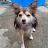 Barney photo 5