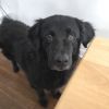 Zeke - Home to Home photo 1