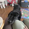 Zeke - Home to Home photo 2