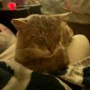 Parker photo 5
