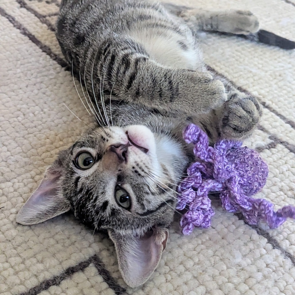 Freya