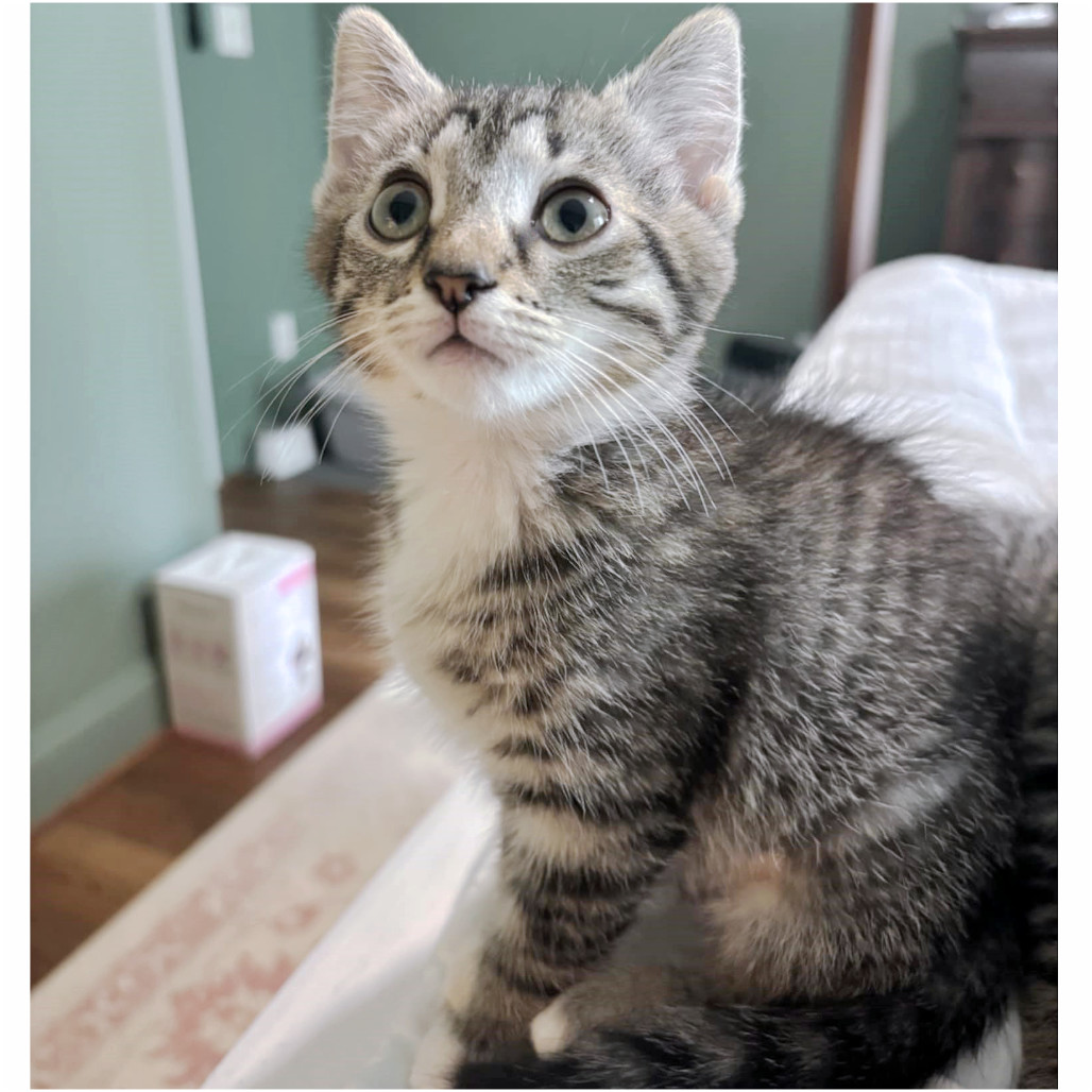 Flopsy Roberts