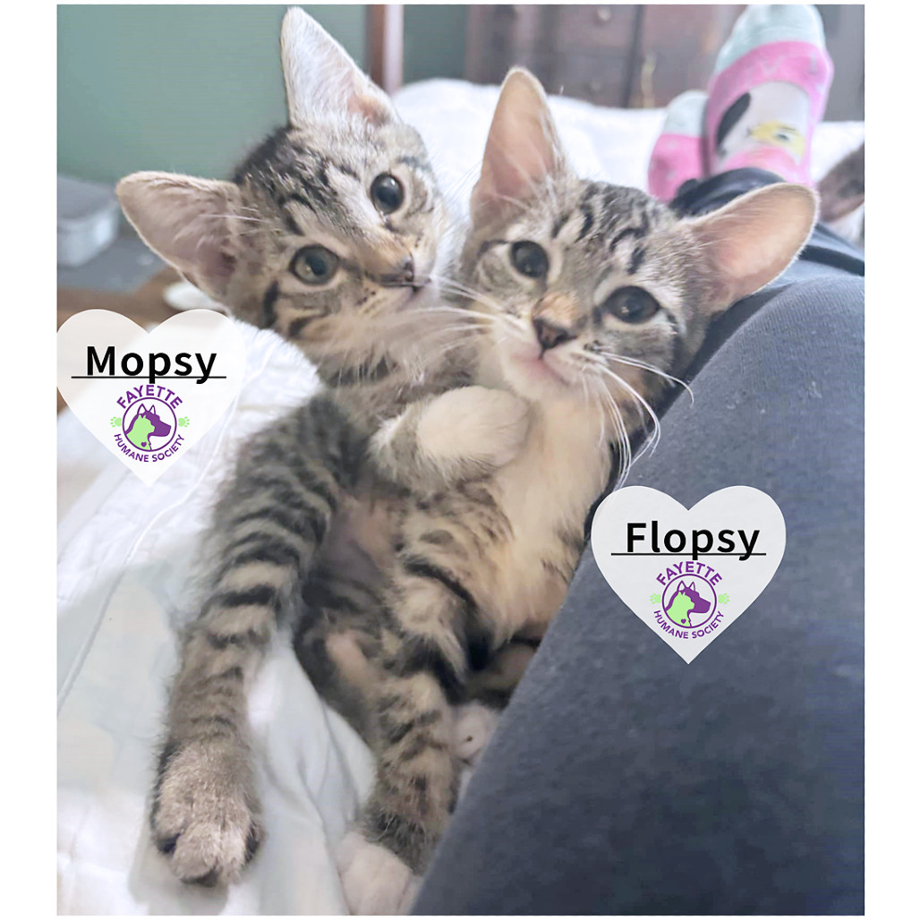 Mopsy Roberts