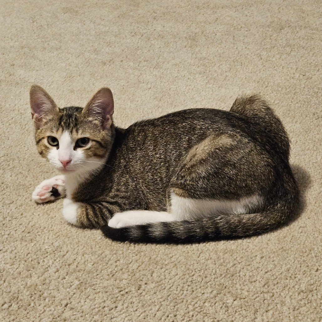 Russell - IN FOSTER