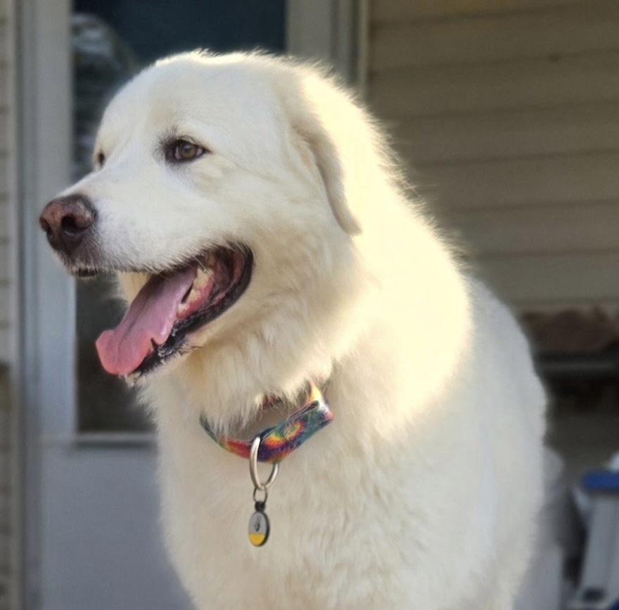 Sarge ATX