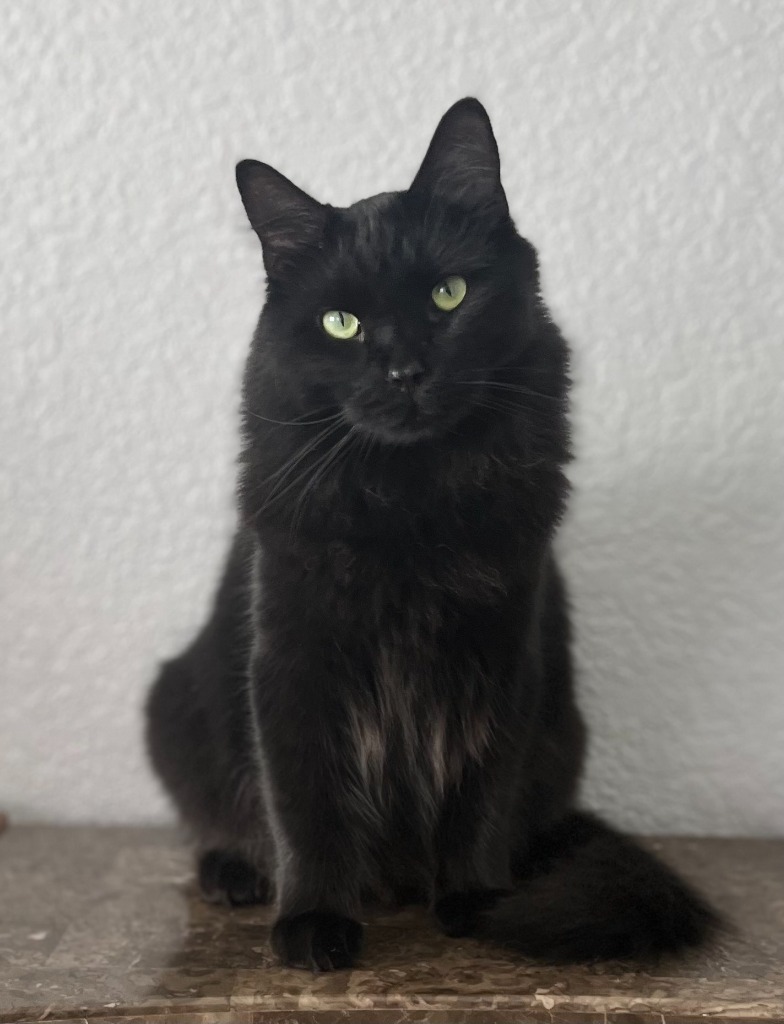 Jax