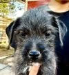 Alan photo 2