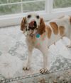 Mable photo 3