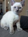 Luna photo 1