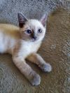 Luna photo 2