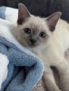 Luna photo 3
