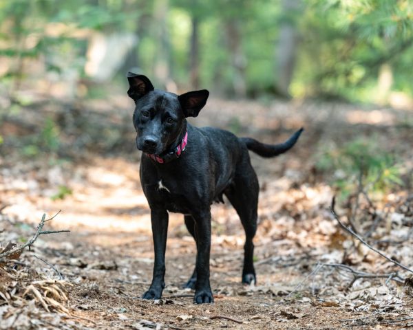 Mama Bones thumbnail 5