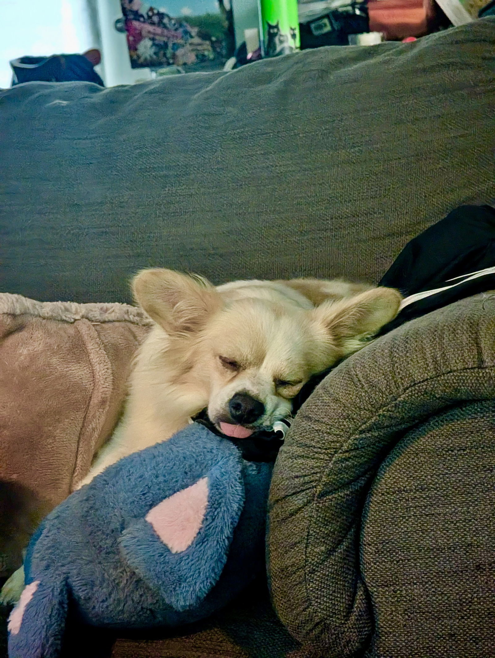 Waffles McFluff