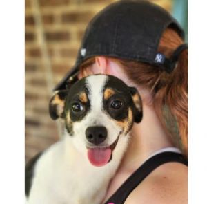 Thank you for checking out my bio please check back for an update My foster will update my informa