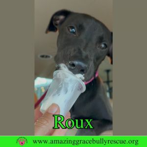 Roux 2, Baby Female unknown