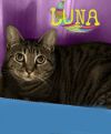 Luna photo 3