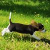 Tucker FKA Leroy photo 1