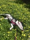 Klondike photo 5