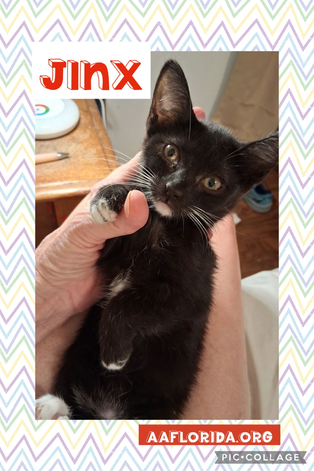 Jinx