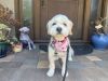 Taffy photo 3