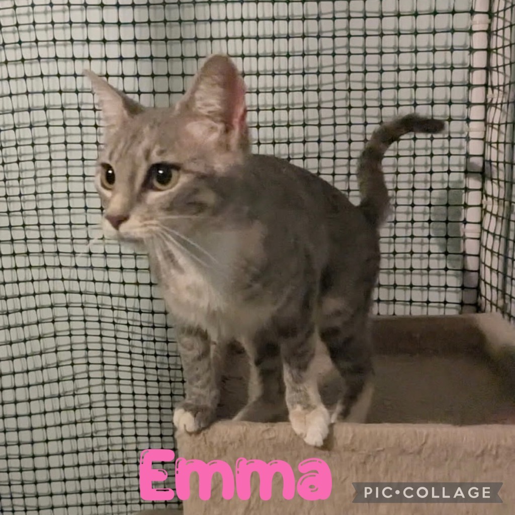 Emma